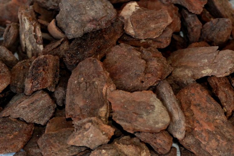 Dekoratif Çam Kabuğu