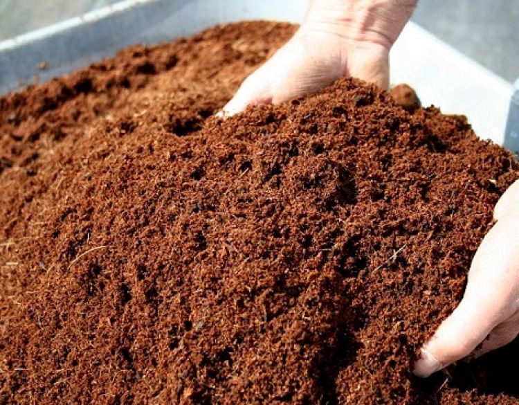 Hayvan Gübresi (Organik)